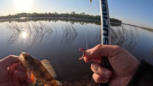 Рыбалка на Оке в мае 2023 (Поплавок) смотреть онлайн