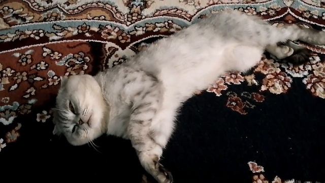 Дагестан, Джума мечеть