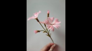 МК Полевая гвоздика из холодного фарфора Cold Porcelain Field Carnation