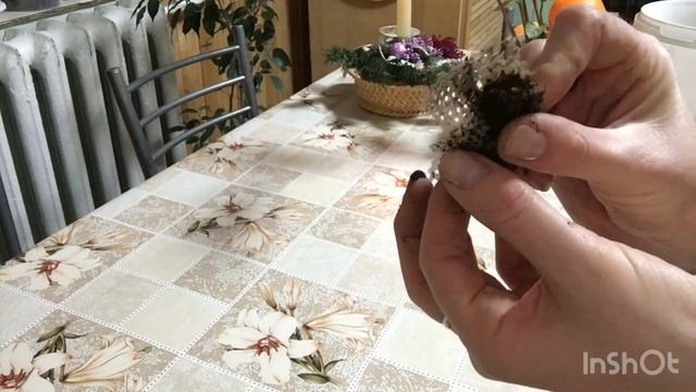 #Ктенанта. Что нашла в корнях ????! #ВиленаЦветкова