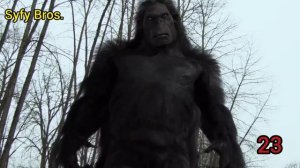 Bigfoot 2012 Kill Count