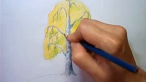 Как нарисовать осеннее дерево карандашами - береза осенью