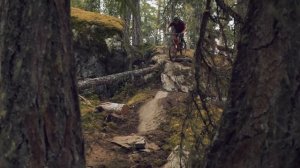 SIGMA 70-200mm F2.8 DG OS HSM | SportsーSpecial Movie｜60s