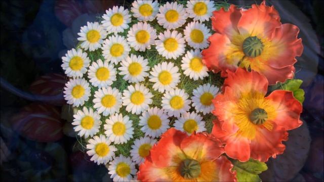 Чудеса из фруктов и сахара смотреть онлайн