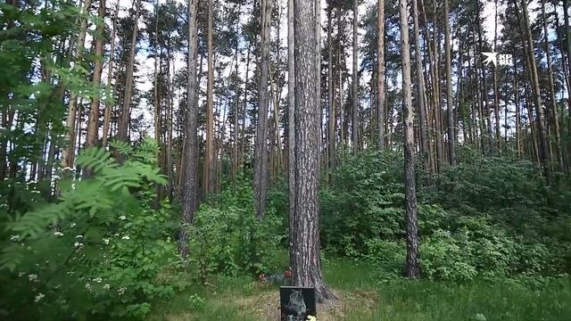 Как работает единственное на Урале кладбище домашних животных
