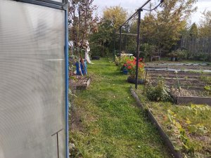 Осенняя обработка теплицы из поликарбоната После уборки урожая на зиму
