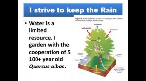 "Green Infrastructure: Why Horticulture Is the Key to Cities of the Future and Where You Fit In"