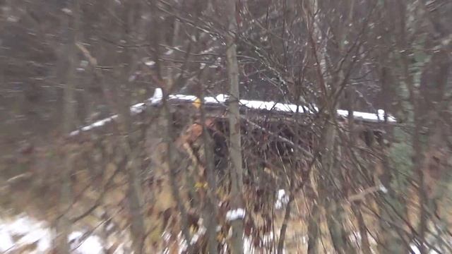 Охота на боровую дичь. Неожиданный результат. смотреть онлайн