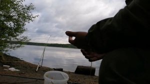 лещи по килограмму на Белоярском водохранилище