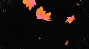 Футаж Видеофон падающие жёлтые листья , круги от капель  дождя