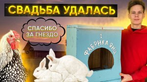 ПОТОМСТВО БУДЕТ❗️Будни Молодого ФЕРМЕРА | Закупили корма | Ждём яйца от Молодок