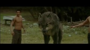 Тот самый момент из мема про волка | безумно можно быть первым | цитаты волка