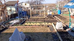 ОТКРЫЛИ ДАЧНЫЙ СЕЗОН 2023