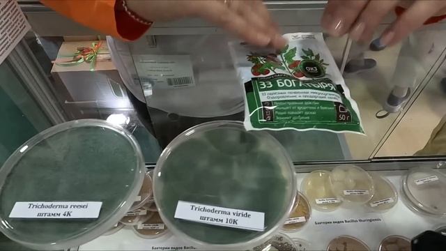 ВТОРОЙ ДЕНЬ НА ВЫСТАВКЕ "НЕТИПИЧНЫЙ САДОВОД". #нетипичныйсадовод