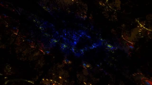 СЛАБОМУ МУЖЧИНЕ ДЛЯ СЧАСТЬЯ НУЖНА ЖЕНЩИНА, ОТНОШЕНИЯ, ЛЮБОВЬ. СИЛЬНОМУ ЖЕ, НИКТО НЕНУЖЕН смотреть онлайн