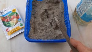 Заделываем дупло яблони