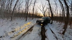 SUBARU FORESTER SJ5