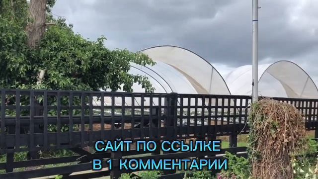⚠️CЕЗОННАЯ РАБОТА ДЛЯ РОССИЯН 2023| РАБОТА В АНГЛИИ НА ФЕРМЕ 2023