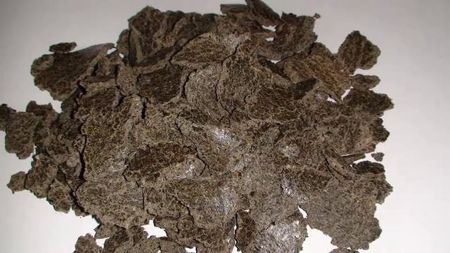 Можно ли давать кроликам семечки подсолнуха смотреть онлайн