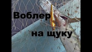 Воблер на щуку