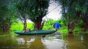 Рыбалка на нижней Волге по высокой воде. Сом на червя. Спиннинговая ловля. Рыбалка с ночёвкой