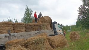Вот и мы с сеном/ Купили "золотое" сено/ Нужно закупить зерновые.