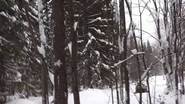 По целине на снегоходе, в поисках старых делянок. смотреть онлайн