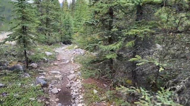 Part 2 | 5 Day Camp-Out at Lake Of The Falls in the Canadian Rockies смотреть онлайн