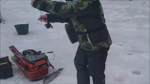 8 марта на Спорт-зоне. Клёвое место Лосиный остров. смотреть онлайн