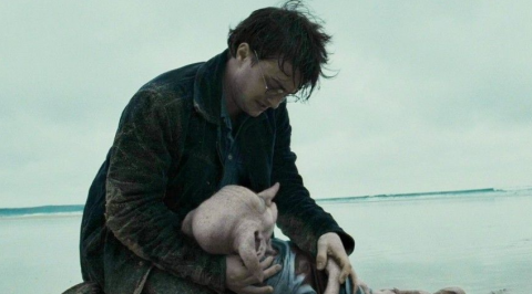 Британские экологи выступили против мемориала эльфу Добби из «Гарри Поттера»