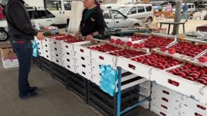 КРАСНОДАР.ЯРМАРКА ВЫХОДНОГО ДНЯ.ЦВЕТОЧНЫЙ РЫНОК