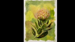 Oil Study No 19 - Project 100 - Yellow Bird Protea