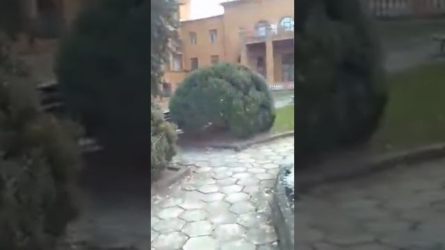 Санаторий москва