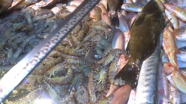Алания Турция Ассортимент рыбы и морепродуктов на рынке