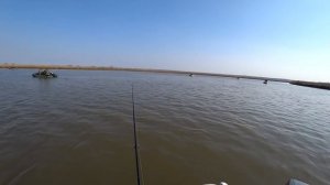 Ловля красноперки с лодки 2018