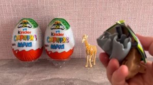 НОВИНКА 2023 ? Natoons ? MAXI ? Kinder сюрприз MAXI