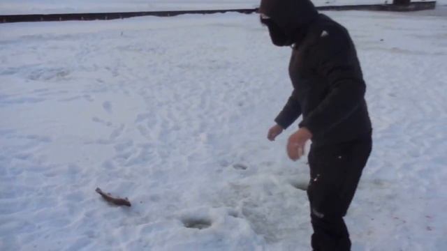 Ловля форели в Раменском рыбхозе "Гжелка" смотреть онлайн