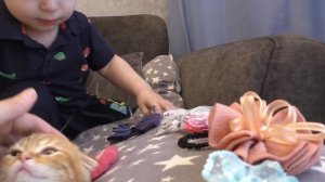 Малыш Саша и маленький котенок
