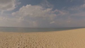 Отель Vinh Suong Resort из Mui Ne и котики
