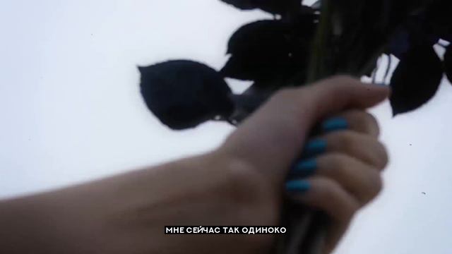 Lil Narnia - Her Heart Has Flowers Inside [Rus Sub | Перевод] смотреть онлайн