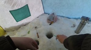Рыбалка без слов. февраль 2023. ловля Ельца.