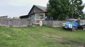Деревня Баженовка, Большеулуйского р-на. 15.07.23г. Автор видео Елена Цыганова