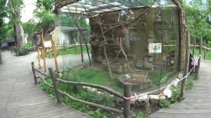 Сафари-парк в Краснодаре