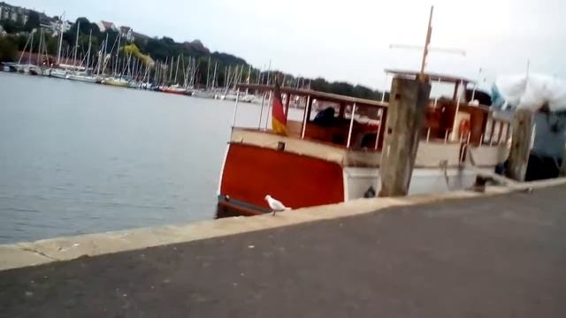 Утро. Залив Балтики и красивейший катер. смотреть онлайн