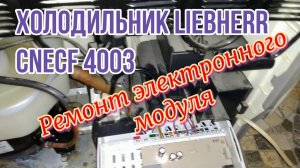 Холодильник Liebherr CNecf 4003. Ремонт электронного модуля после колхозника