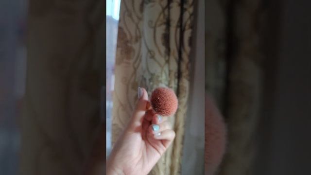 ЛУЧШИЕ РУМЯНА от Вивьен сабо/кисть для румян топфэйс
