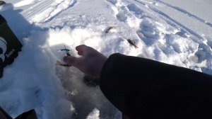 ДВОЕ СУТОК В ПАЛАТКЕ! рыбалка в ДИКИХ МЕСТАХ!..mp4