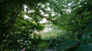 СОЧИ 2020 🌊 ОТДЫХ В СОЧИ 🌊 КЕМПИНГИ СОЧИ 🌊 КЕМПИНГ БЕРЕГ В АШЕ