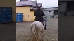 ОТ ОЛАДИГАНЛАР БУЛСА ТЕЛЕФОН НОМЕР ЕЗИБ КУЙСИН САЛОМАТ БУЛИНГЛАР КАДИРДОНЛАР ??