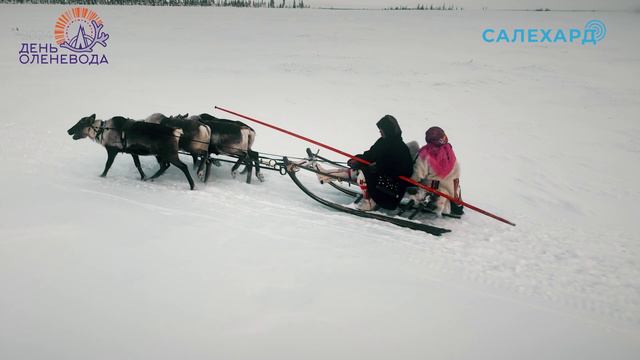 До дня оленевода осталось 4 дня